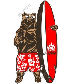  Cool Bear Surfing