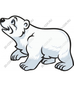 Polar bear
