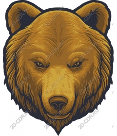 Head of grizzly bear