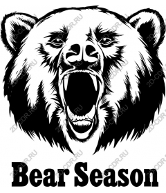 Bear season