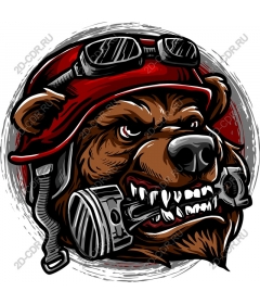 Warrior Bear