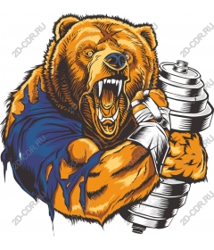 The power of a roaring bear