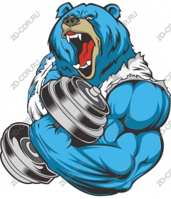 Muscular bear