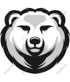 The majestic head of a bear