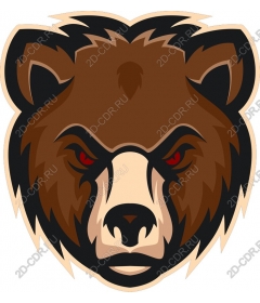  The image of the head of grizzly bear