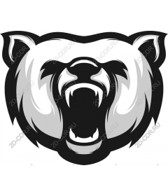 Head of a ferocious bear