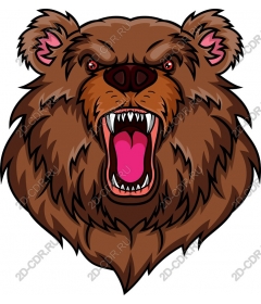 Roaring Bear