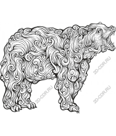  Fancy bear