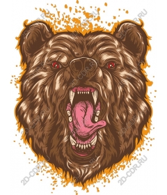  Roaring Bear