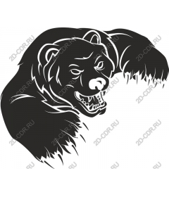  Ferocious bear