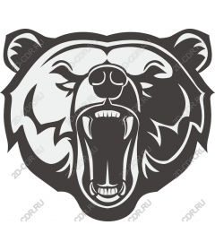  Roaring Bear