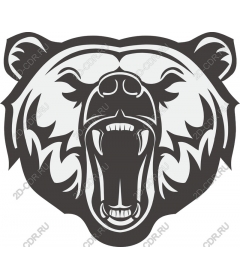  Roaring Bear