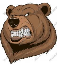 Head of a ferocious bear