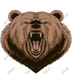 Head of a ferocious bear