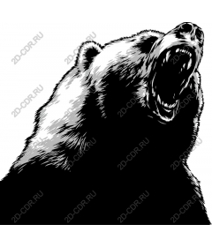  Roaring Bear