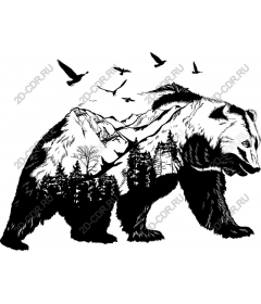 Majestic bear wildlife