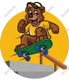  Bear on a skateboard