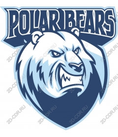  Ferocious polar bears