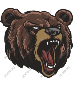  Roaring Bear