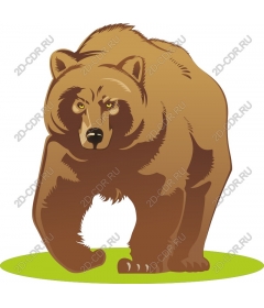 Majestic bear