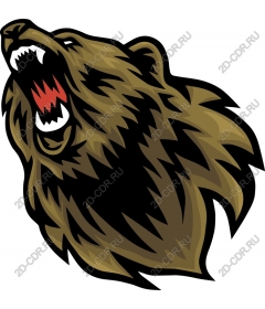  Roaring Bear