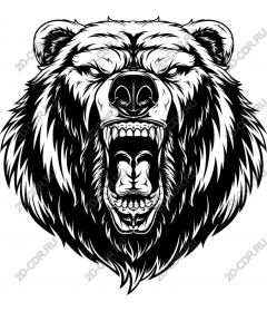  Roaring Bear