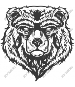 Intricate face bear