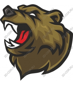 Head of a ferocious bear