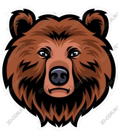  Медведь гризли