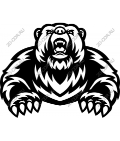  Ferocious bear