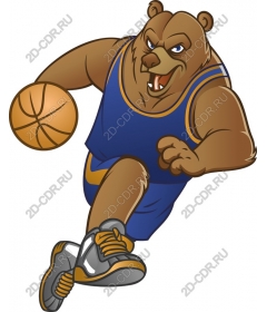  Ferocious bear basketball