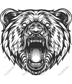  Roaring Bear