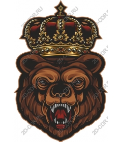  Crowned Bear