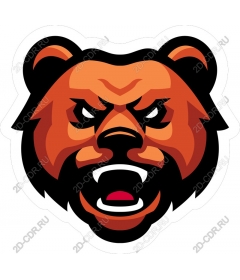  Angry Bear