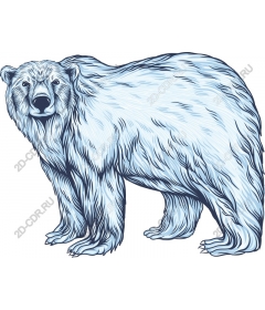  The majestic polar bear
