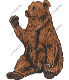 Friendly bear