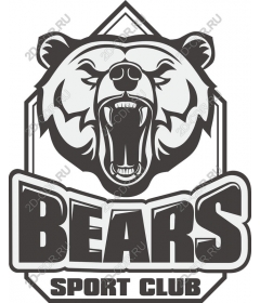 Sports club the Bears