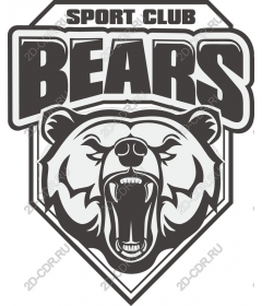  Sports club the Bears