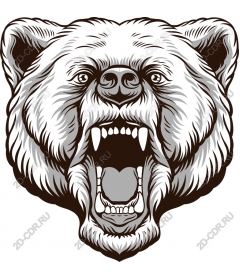 Head of roaring bear