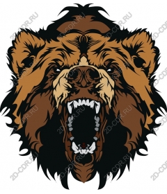  Ferocious roaring bear