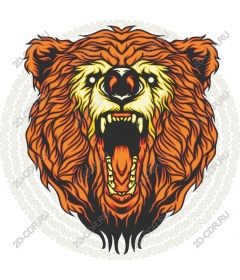 Roaring Bear