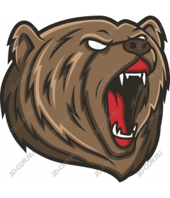 Head of a ferocious bear ravasio