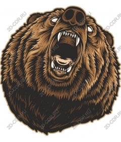 Roaring Bear