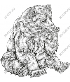 Intricate bear