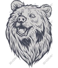  The majestic head of a bear