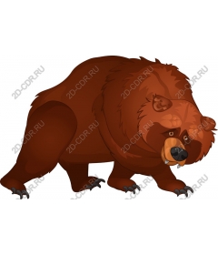 Majestic brown bear