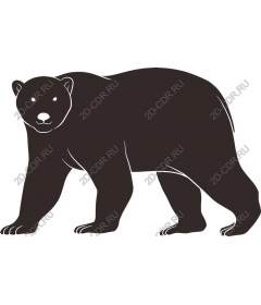 Majestic bear