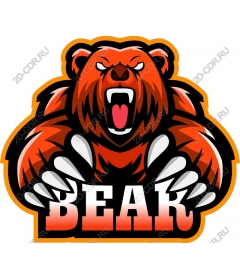  Ferocious bear