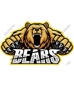 Ferocious bear
