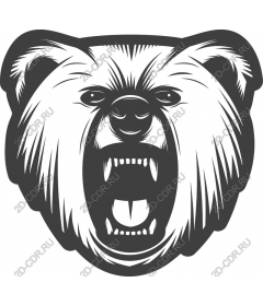 Head of a ferocious bear ravasio